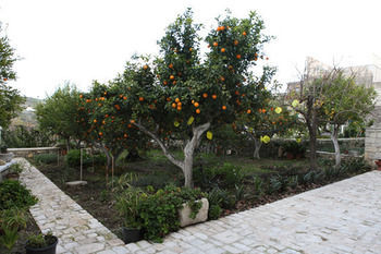 B&B Il Giardino Dei Mandarini Modica