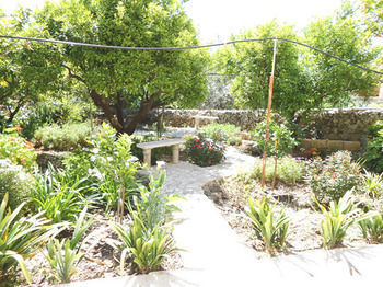 B&B Il Giardino Dei Mandarini 3*